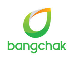 Bangchak Corporation (BCP) Q3 Earnings: Challenges and Long-Term Growth Potential