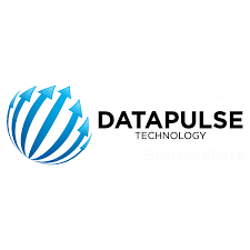 Datapulse Technology Limited: Strong Financial Turnaround and Strategic Growth in FY2024