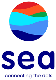 SEA Ltd’s Strong 4Q24 Performance and 2025 Growth Outlook: Shopee, Garena, and Fintech Insights